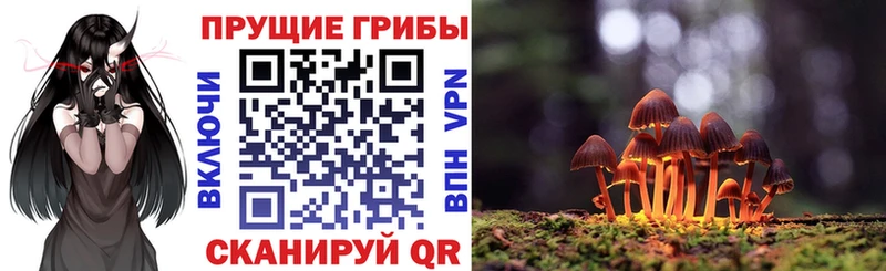 мега как войти  Брюховецкая  Псилоцибиновые грибы Psilocybine cubensis 